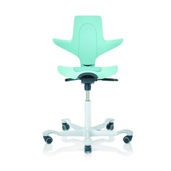 Hag Capisco Puls 8010