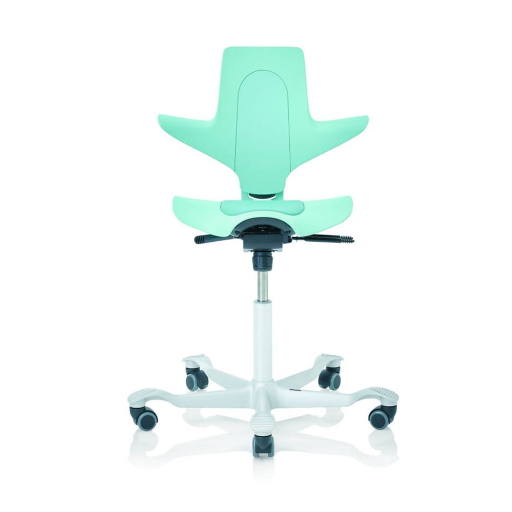 Hag Capisco Puls 8010