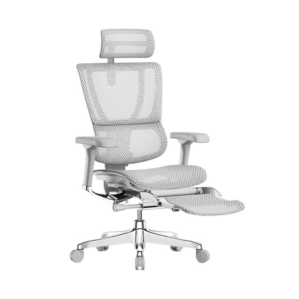 Mesh Mirus G2 With Legrest