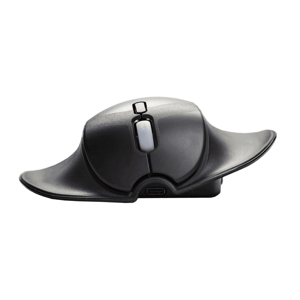 Handshoe Shift Mouse