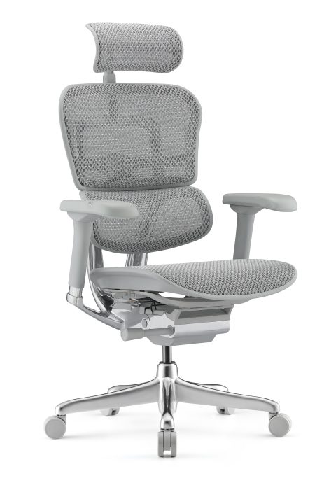 Mesh Ergohuman G2 Grey