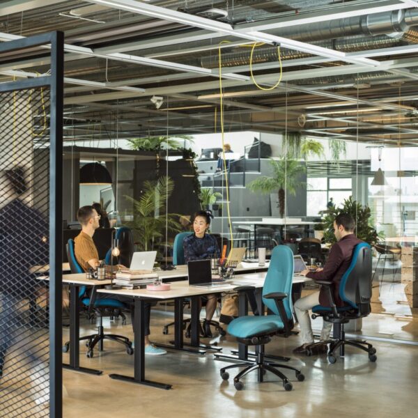 Start-up venture. Ergonomic flexibility for a growing team
