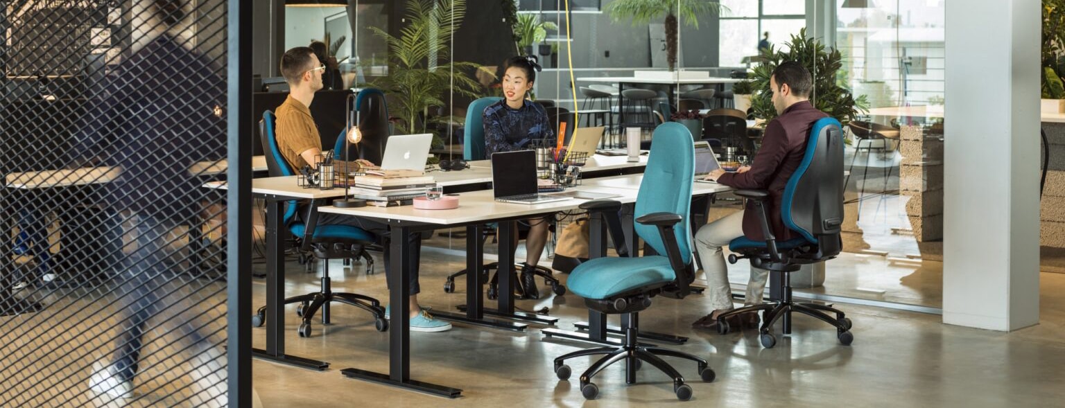 Start-up venture. Ergonomic flexibility for a growing team